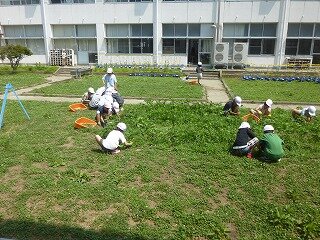 P1270075.jpg
