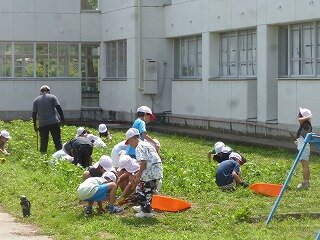 P1270076.jpg