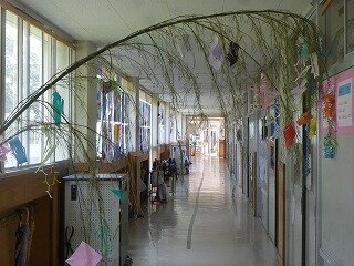 P1270077.jpg