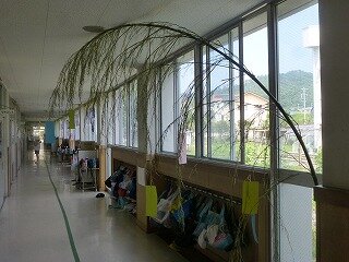 P1270081.jpg