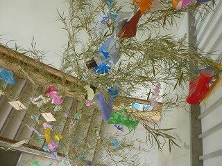 P1270085.jpg