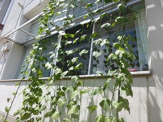 P1270330.jpg