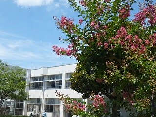 P1270392.jpg