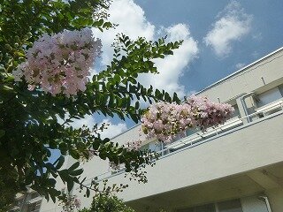 P1270400.jpg