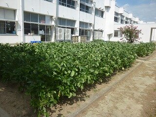 P1270489.jpg