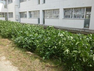 P1270490.jpg