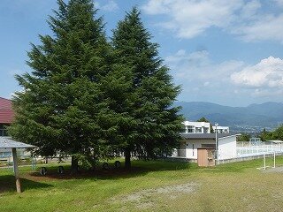 P1270491.jpg