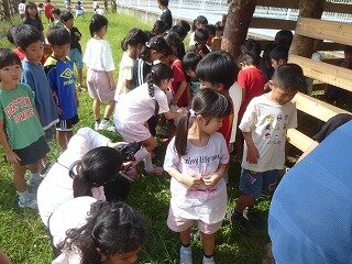 P1270545.jpg
