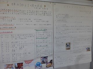 P1270583.jpg