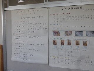 P1270584.jpg