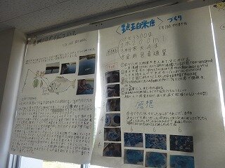 P1270586.jpg