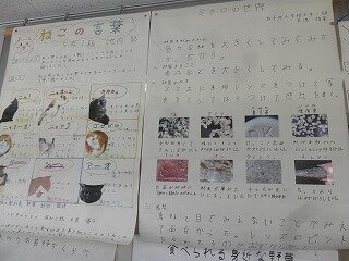 P1270587.jpg