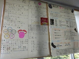 P1270607.jpg