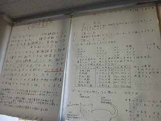P1270608.jpg
