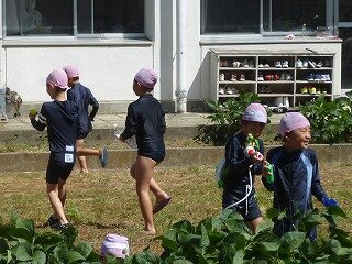 P1270643.jpg