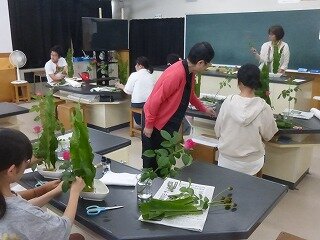P1270930.jpg