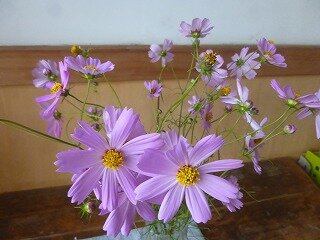 P1280049.jpg