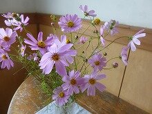 P1280050.jpg