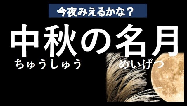 スクリーンショット_6-10-2025_13289_.jpg