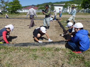 P1050071.JPG