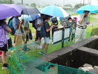 DSC03233.JPG
