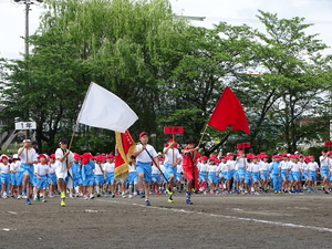 DSC07339.JPG