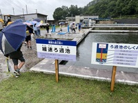 IMG_3723.JPG