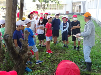 DSC03380.JPG