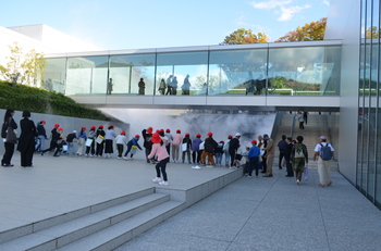 DSC_0799.JPG