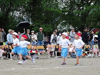DSC08474.jpg