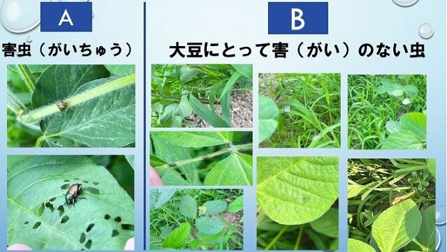 スクリーンショット_17-7-2025_18189_.jpg