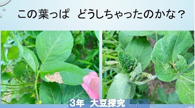 スクリーンショット_17-7-2025_181710_.jpg