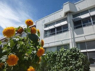 P1270331.jpg