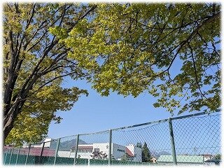 画像1.jpg
