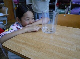 画像1.jpg