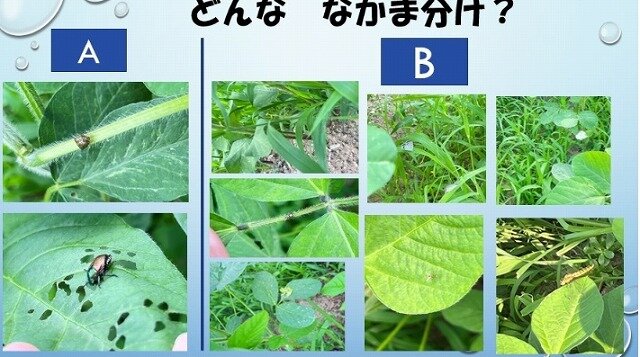 スクリーンショット_17-7-2025_181744_.jpg