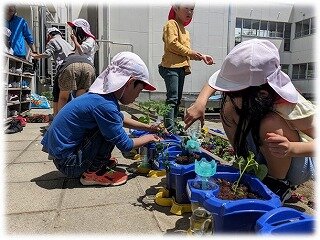 画像32.jpg