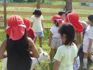 P1270549.jpg