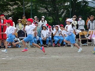 DSC08477.jpg
