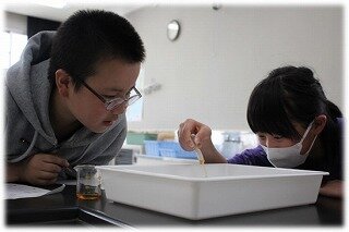 画像10.jpg
