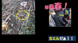 スクリーンショット_11-4-2025_142315_.jpg