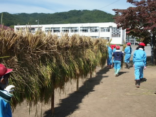 20211005inekari003.jpg