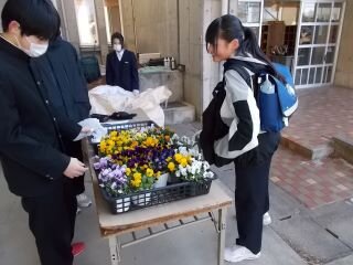 DSCN7786.JPG