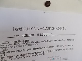 DSCN7685.jpg