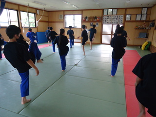 DSC00234.jpg