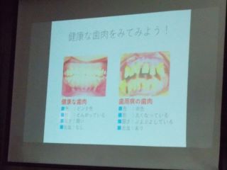 DSCN0732.JPG