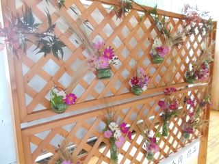 DSCN3217サイズ.JPG