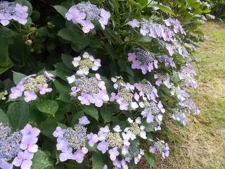 DSCN4085.JPG