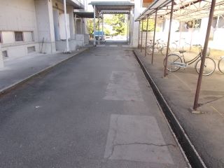 DSCN4336.JPG