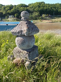 DSCN6378.jpg